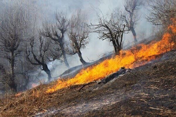 بیش از ۳۹۰ هکتار از اراضی و جنگل‌های خوزستان خسارت دیدند - خبرگزاری مهر | اخبار ایران و جهان