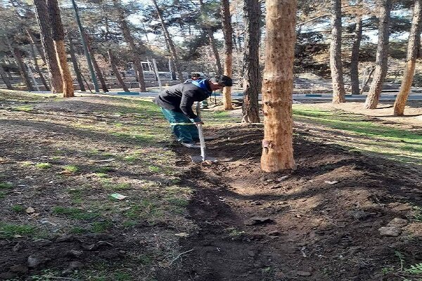 لایروبی انهار و بهبود فضای سبز بوستان جنگلی سرخه حصار - خبرگزاری مهر | اخبار ایران و جهان