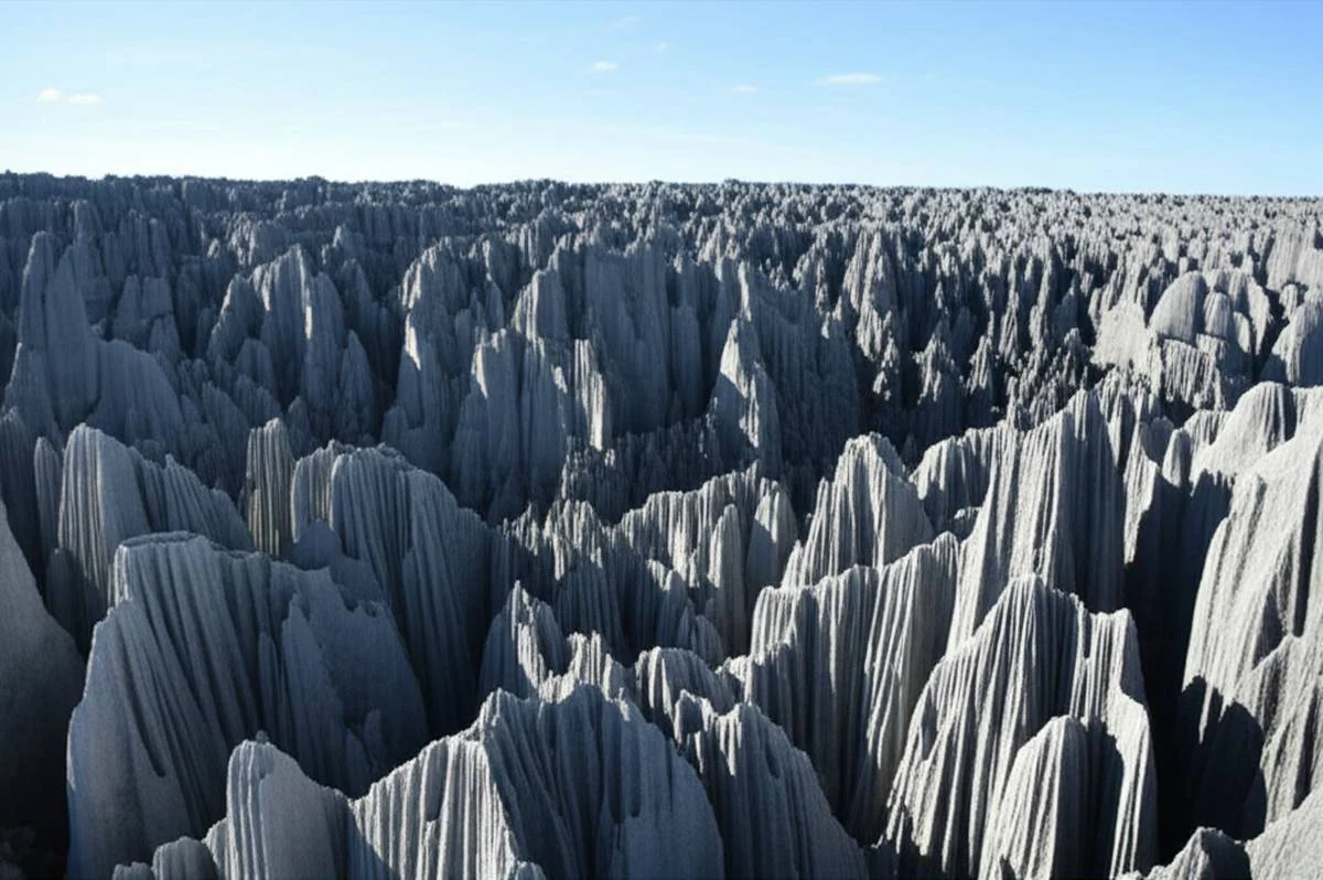 جنگل سینجی در ماداگاسکار tsingy Madagascar