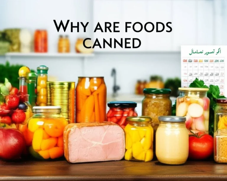چرا غذاها را کنسرو می کنند؟ بررسی علمی فرآیند، فواید و مضرات