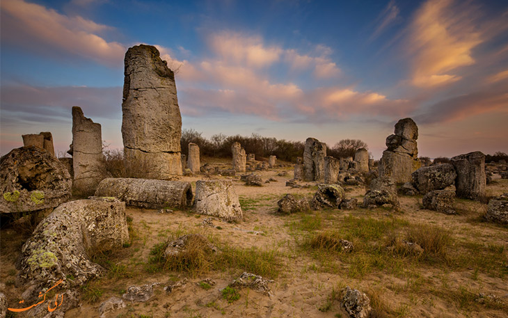 جنگل | گردشگری جنگل سنگی وارنا Varna Stone Forest