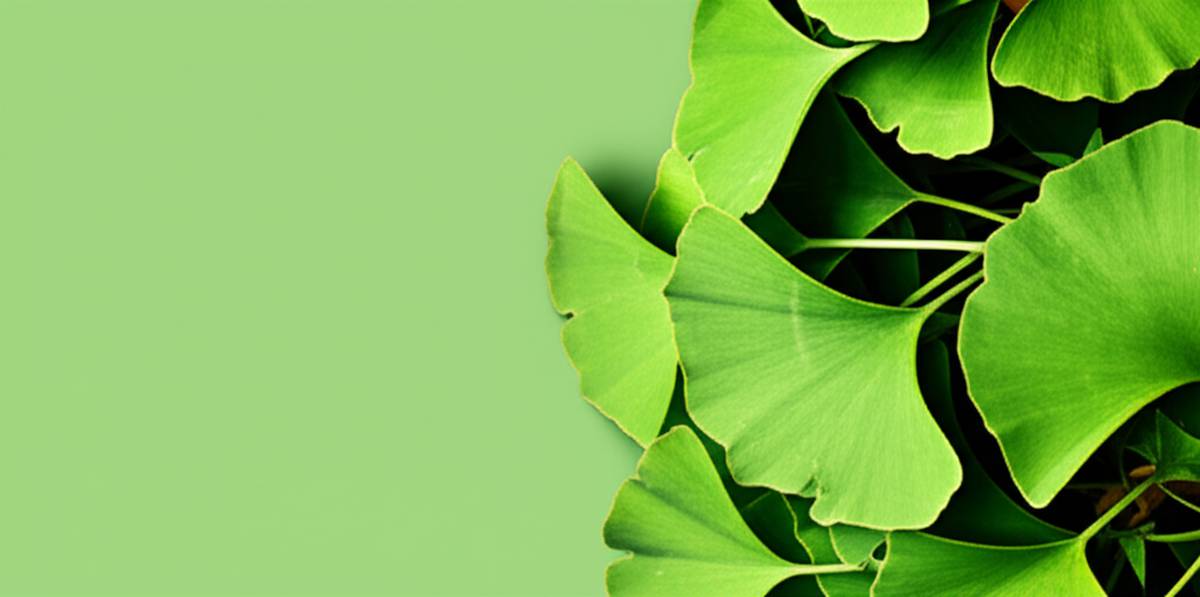 جینکو بیلوبا 400 میلی گرم اس تی پی فارما | خواص و فواید